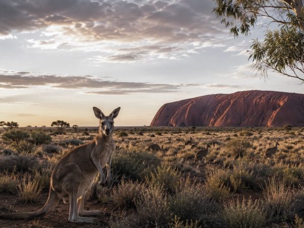 Austrálie – fotografie 1