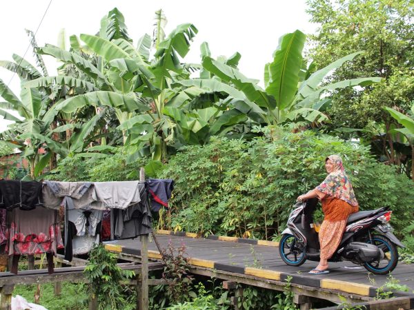 Visuté silnice, Borneo