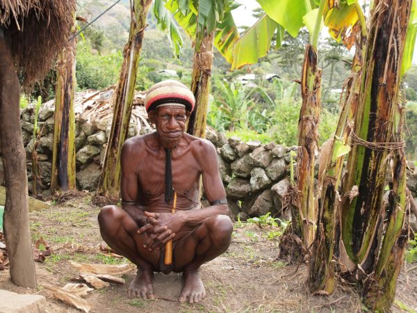 Domorodý bojovník, Papua