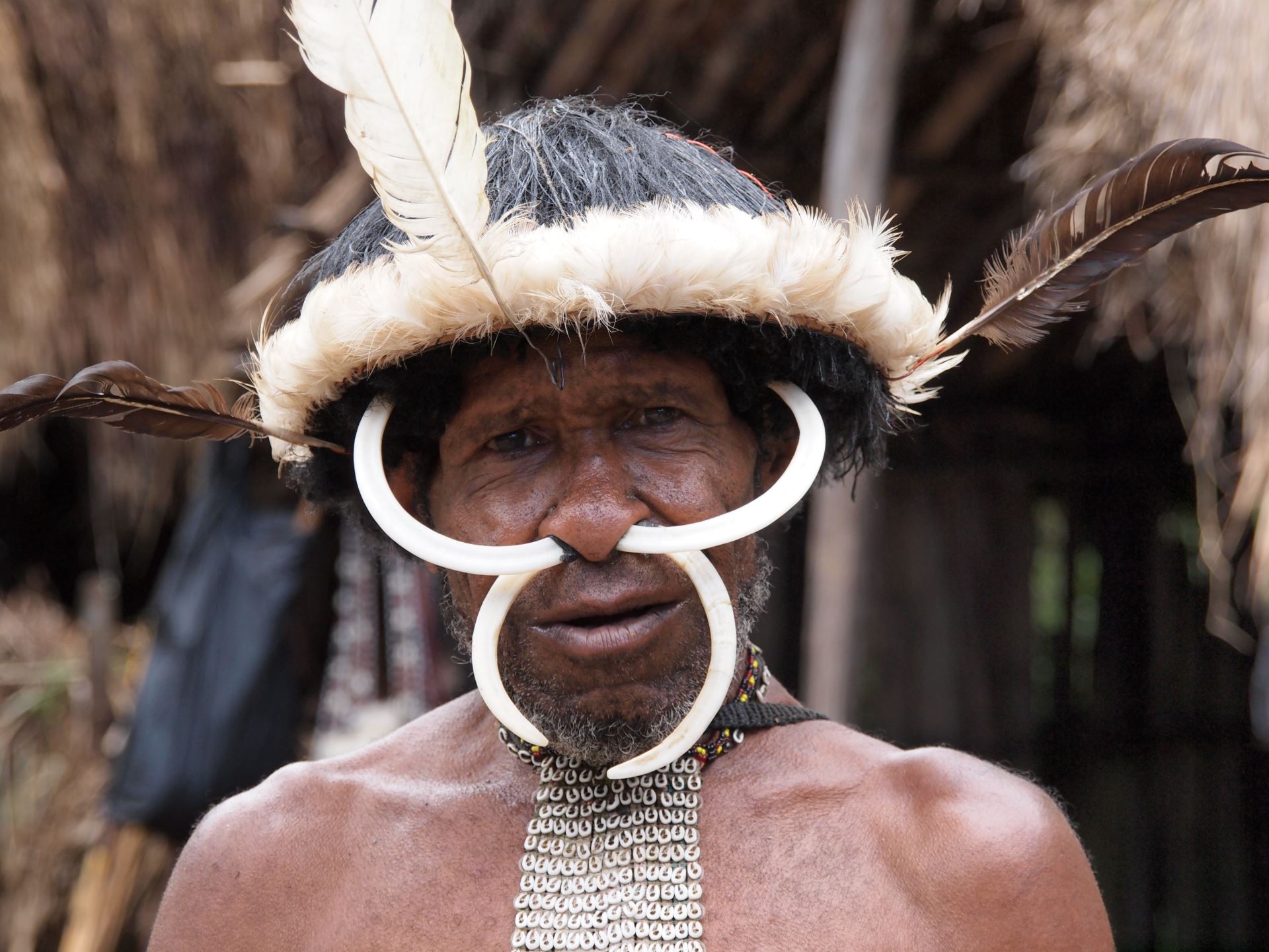 Borneo a Papua