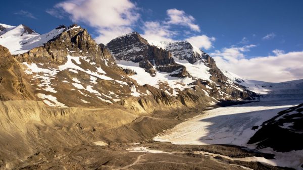 Ledovec Athabasca