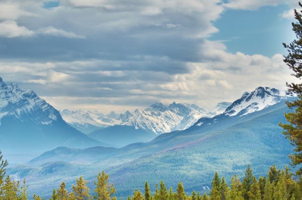 Rockies jsou pastva pro oči
