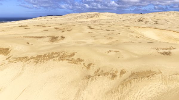 Poušť Giant Sand Dunes