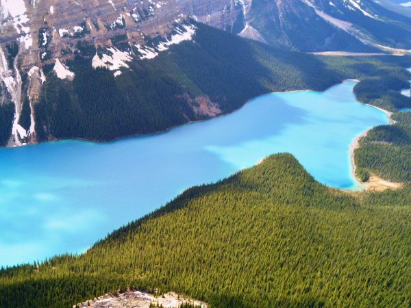 Peyto Lake, Kanada